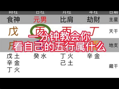 五行字庫查詢|名字五行字典，免費起名字五行屬性查詢，五行取名字查詢，五行。